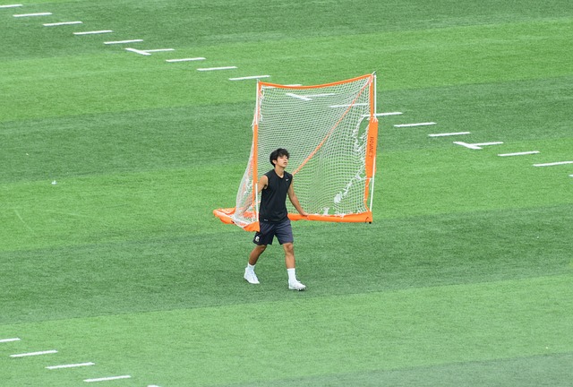 的未来似乎