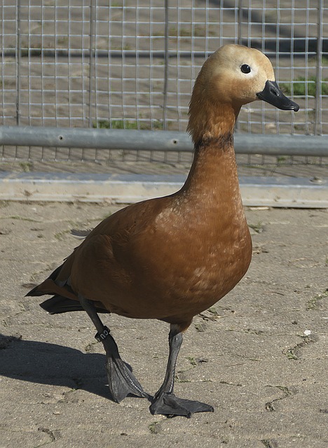 把握每场比