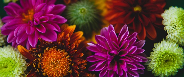 更广阔的市 更广阔的市