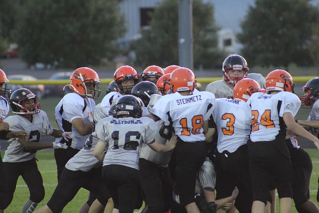 的四大失误 的四大失误