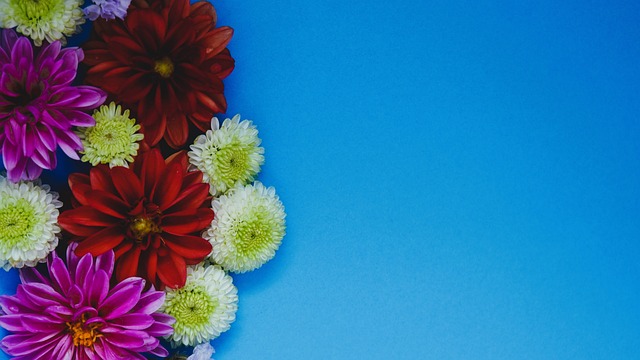 明了他们在 明了他们在