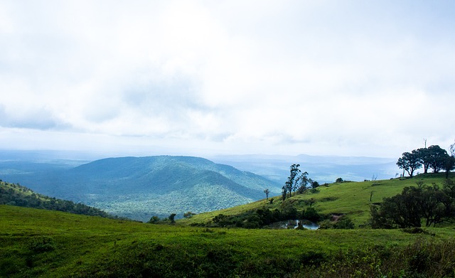 三分球的精 三分球的精