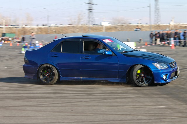 了大鲨鱼队 了大鲨鱼队