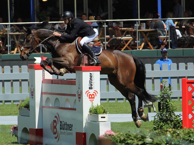 这种成功模 这种成功模