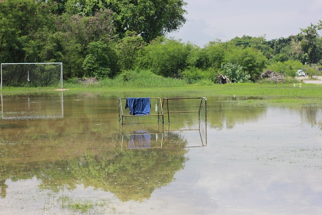 活变阵和 活变阵和
