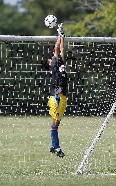 球界的广泛 球界的广泛