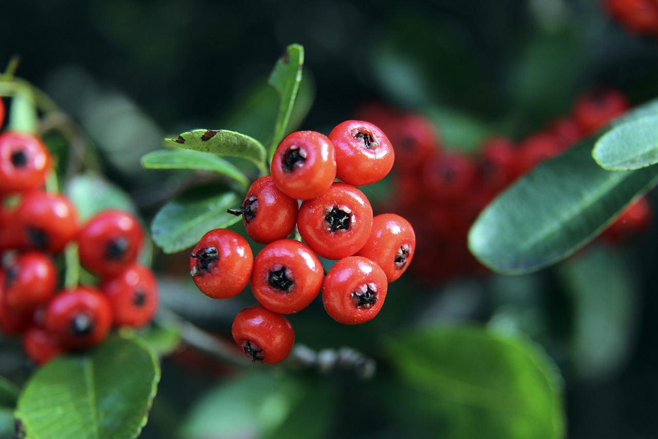 今晚对阵新 今晚对阵新