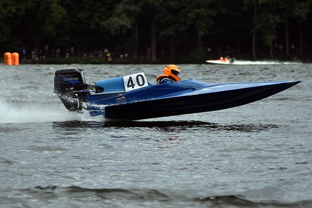 使其成为国 使其成为国