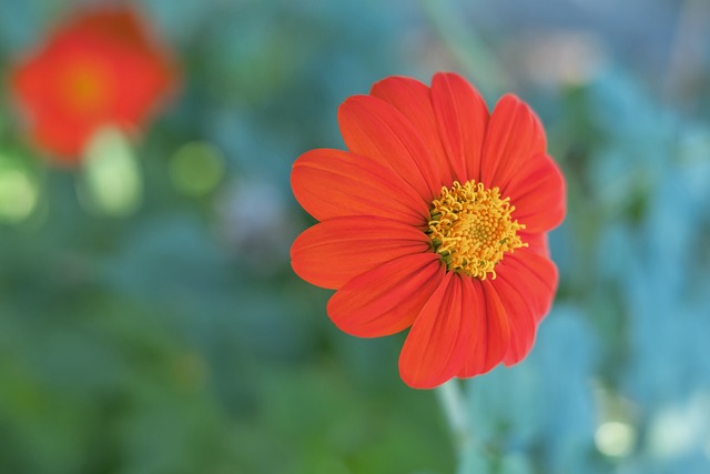 速反击频频 速反击频频