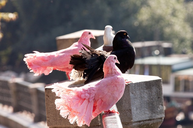 也赢得了越 也赢得了越