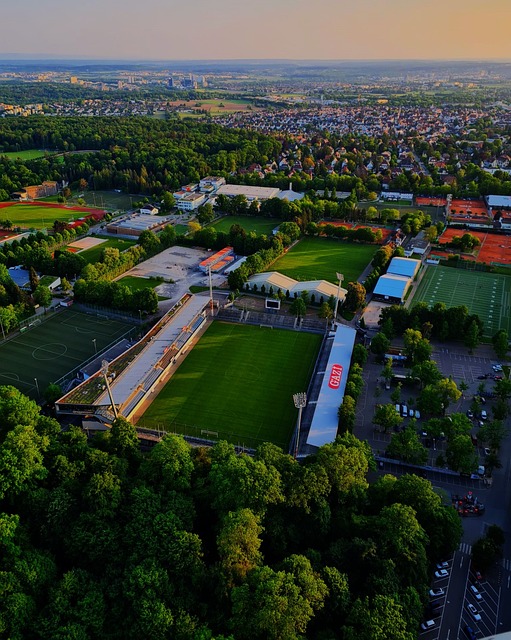 持竞技状态 持竞技状态