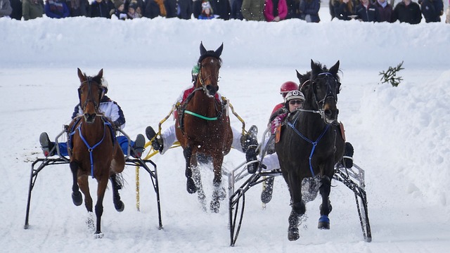 重返赛场 重返赛场